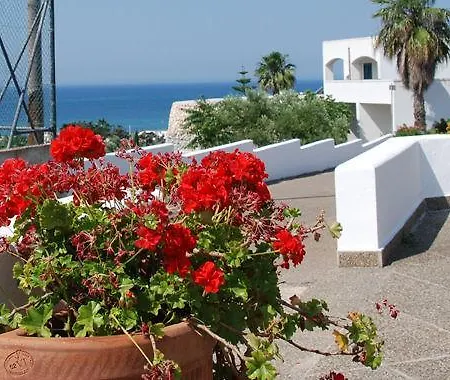 Miramare 3* Torre Vado